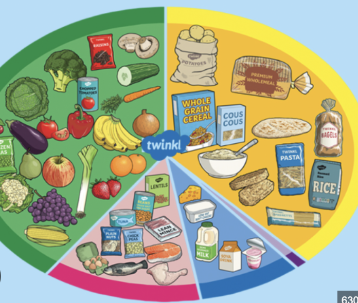 Plants | Science Year 3